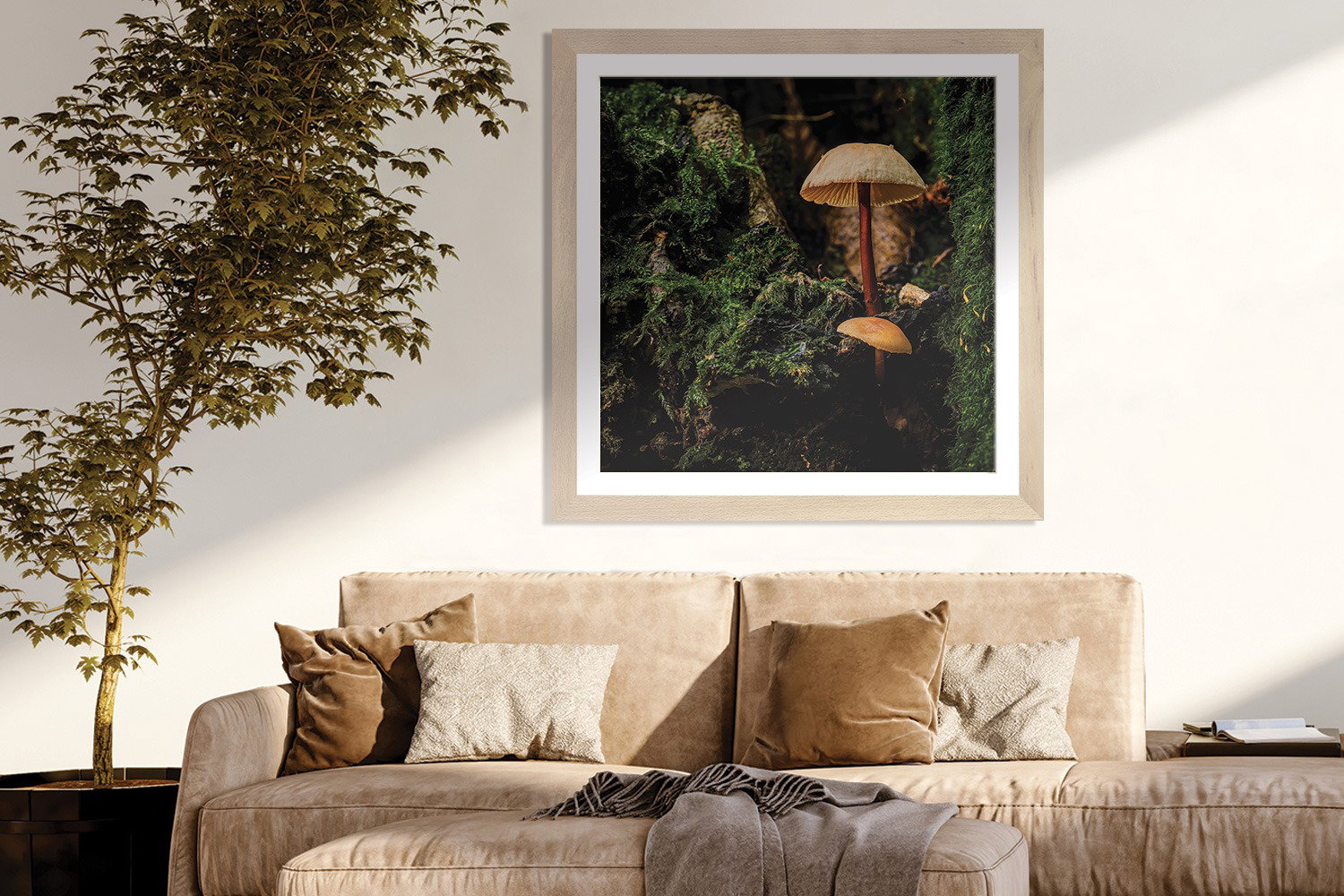 Framed Paper Print