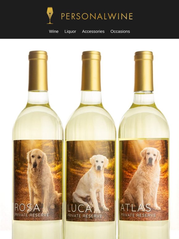A gift for the dog lover who has everything