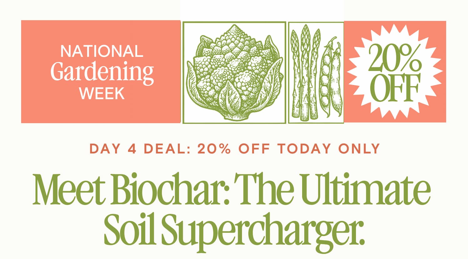 DAY 4 DEAL: 20% OFF TODAY ONLY Meet Biochar