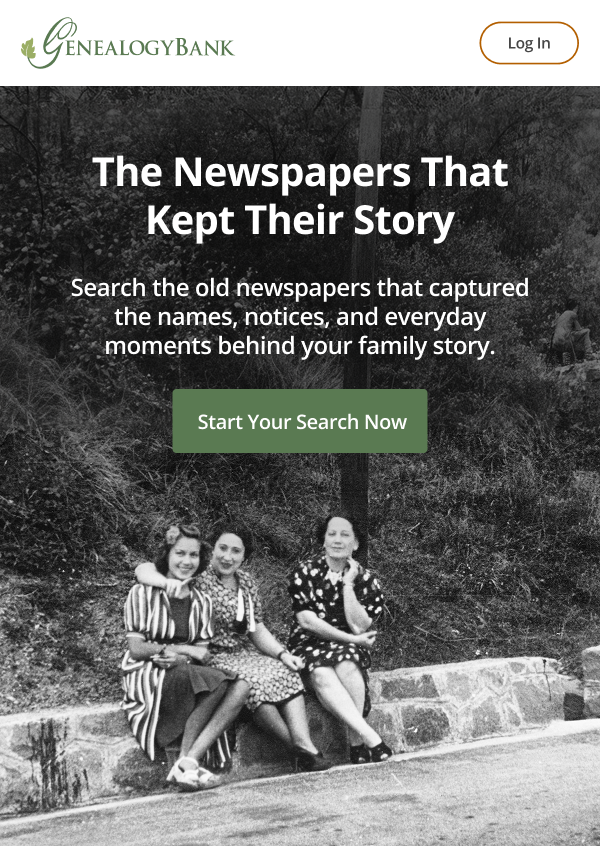 The Newspapers That Kept Their Story