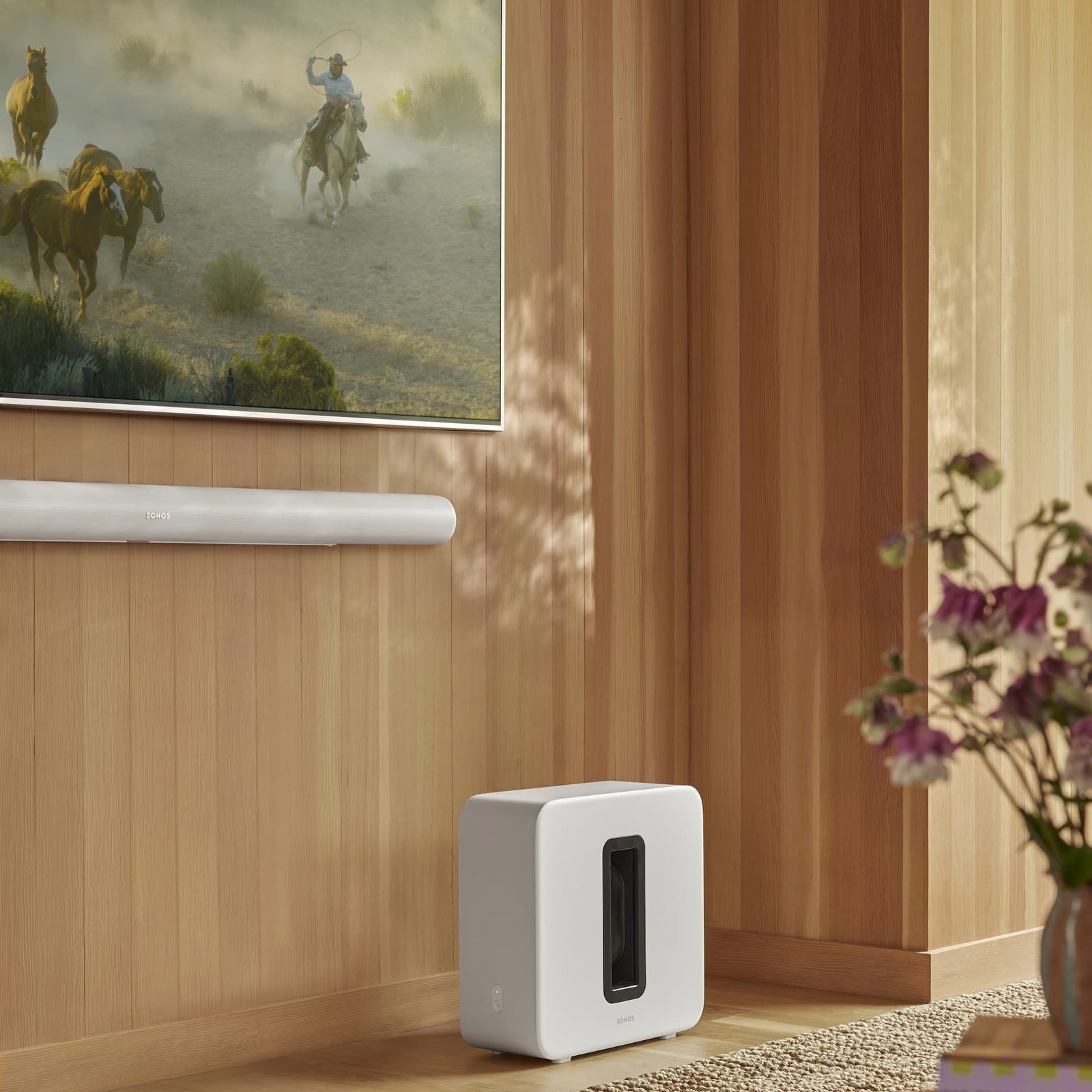 Sonos Sale