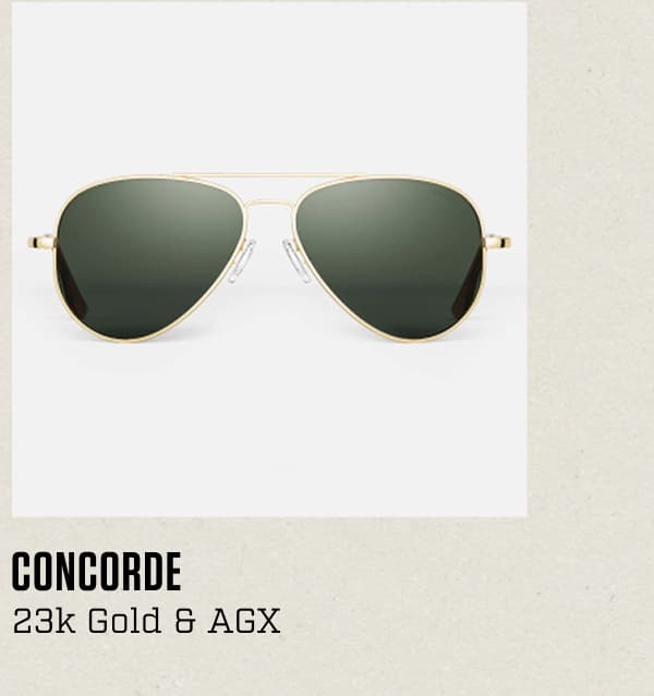 Concorde - 23k Gold & AGX with Skull Temple