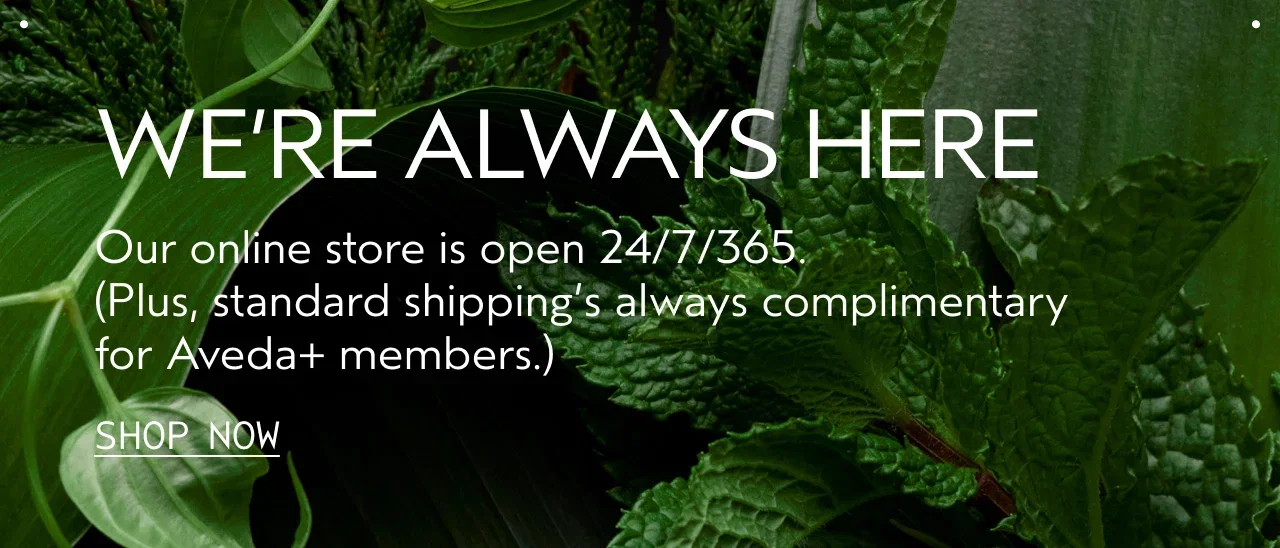 WE'RE ALWAYS HERE | Our online store is open 24/7/365. Plus, standard shipping's always complimentary for Aveda+ members. | SHOP NOW
