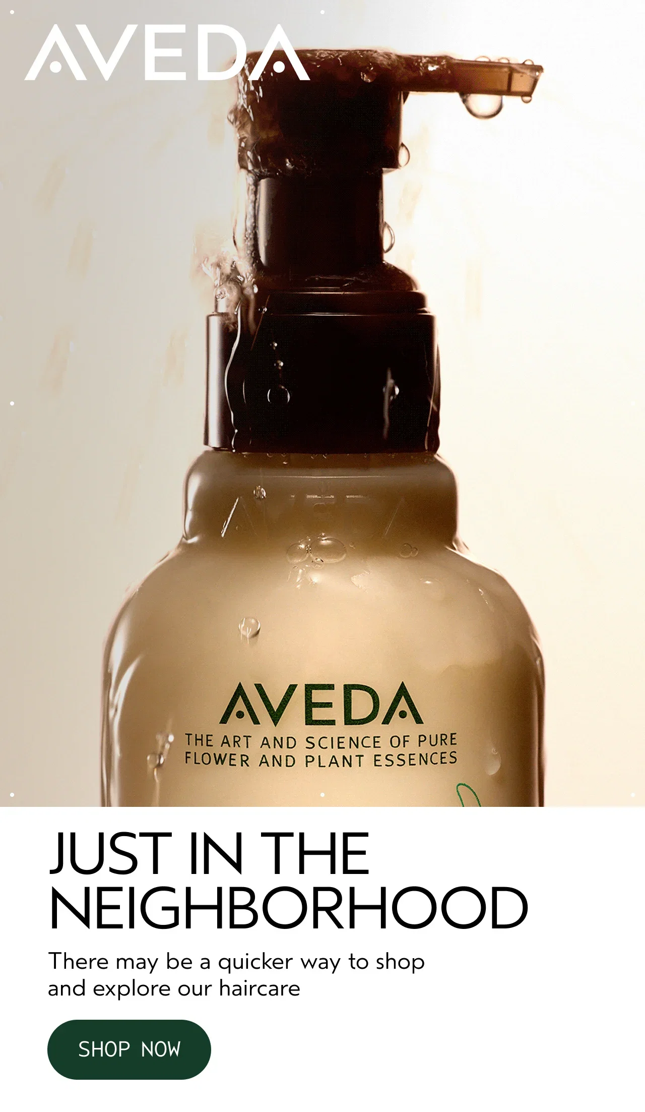 AVEDA | JUST IN THE NEIGHBORHOOD | There may be a quicker way to shop and explore our haircare | SHOP NOW