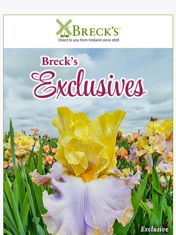 Goodies for Your Garden Available Exclusively at Breck’s