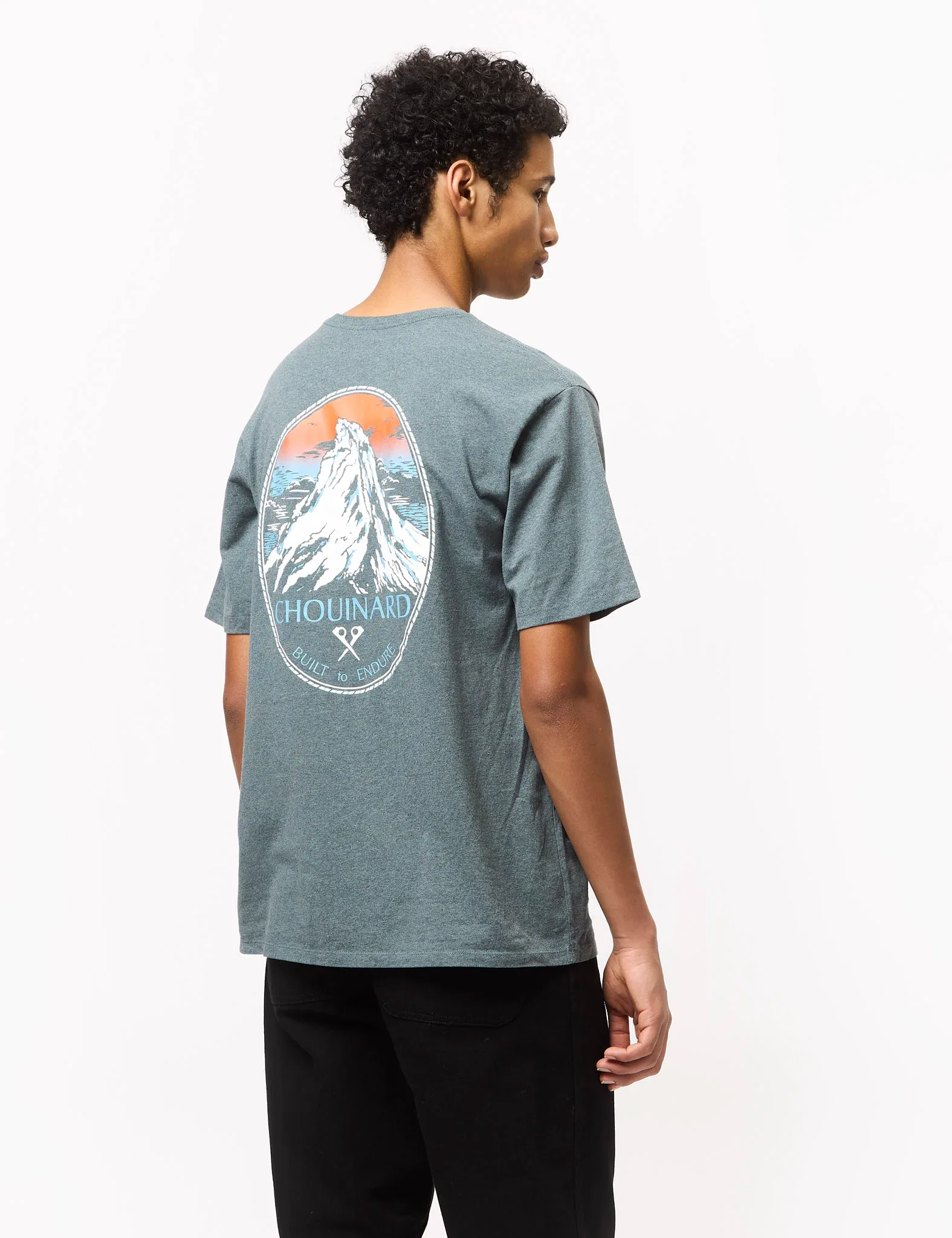 Image of Patagonia Chouinard Crest T-Shirt Green