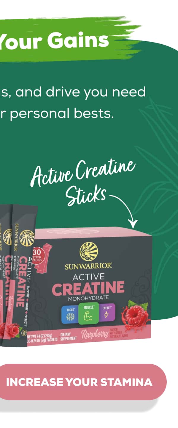 Active Creatine Sticks   INCREASE YOUR STAMINA