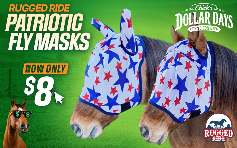 Patriotic Fly Masks - $8.00 - Dollar Days Deal