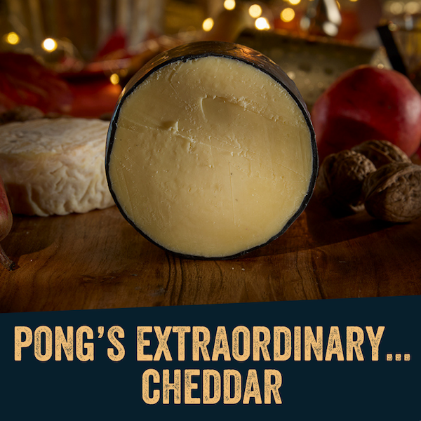 Pong Extraordinary... Cheddar