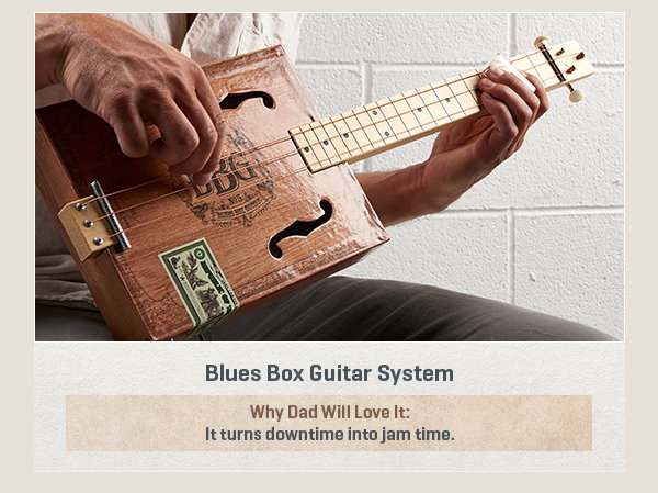 Blues Box Guitar System