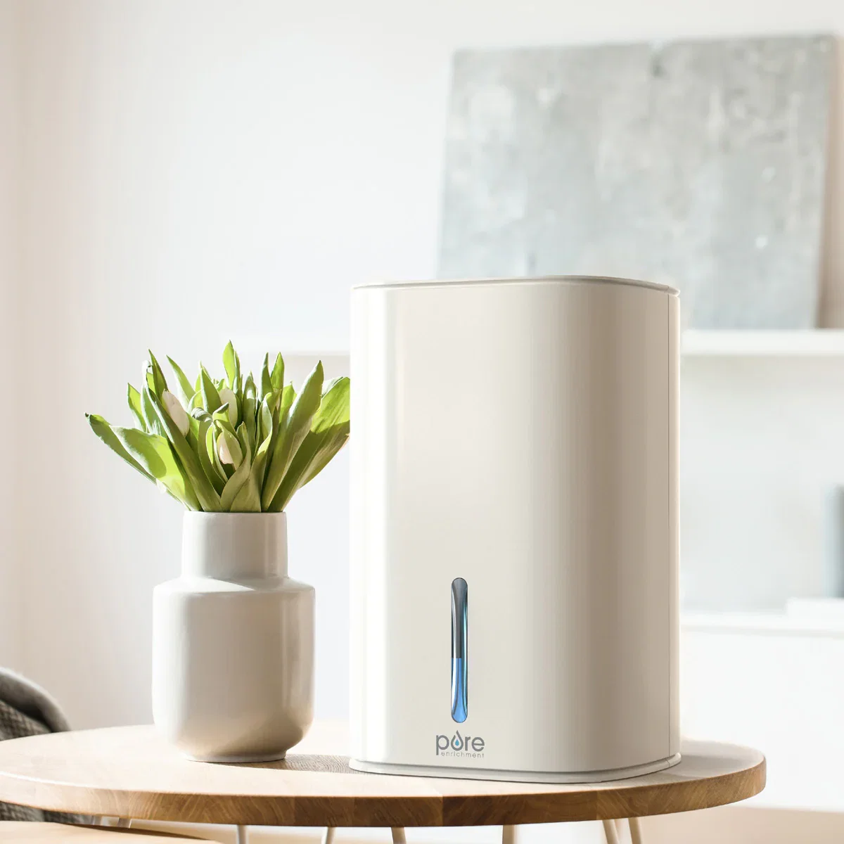 Image of Small‑Space Dehumidifier