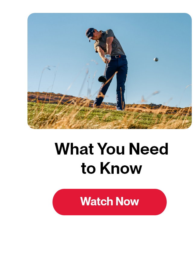 What Your Need to Know