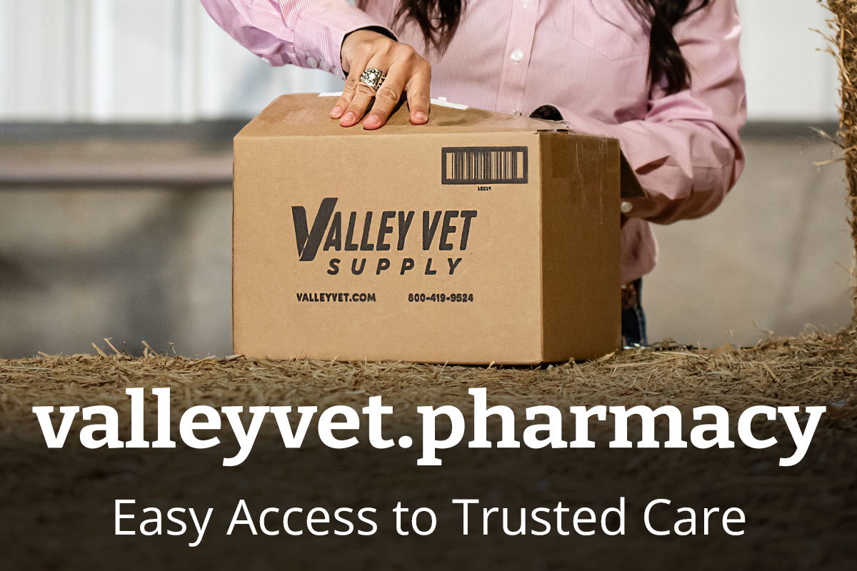 valleyvet.pharmacy - Easy Access to Trusted Care