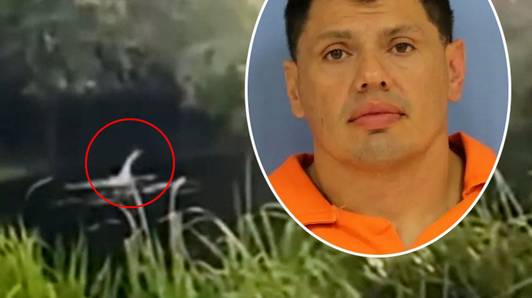 Victor (40) vlucht voor politie moeras in, recht in bek van alligator