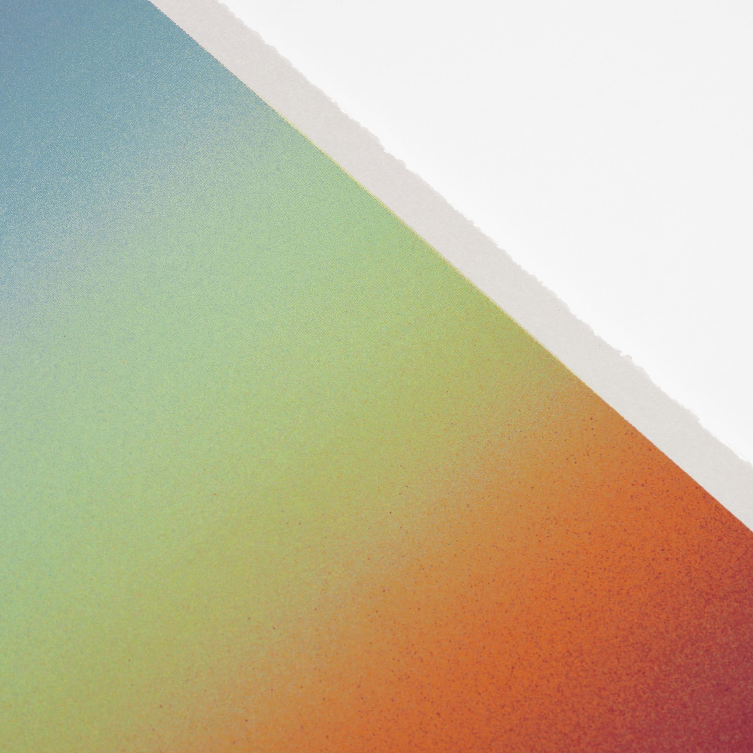 Sho Shibuya: February 11 Detail