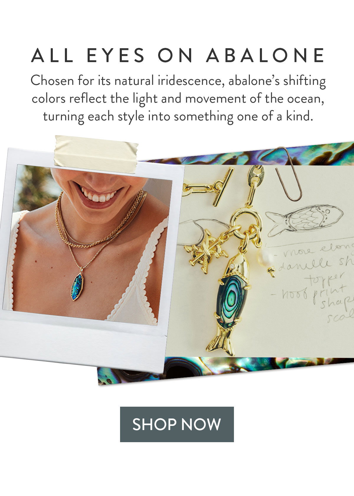 All Eyes on Abalone