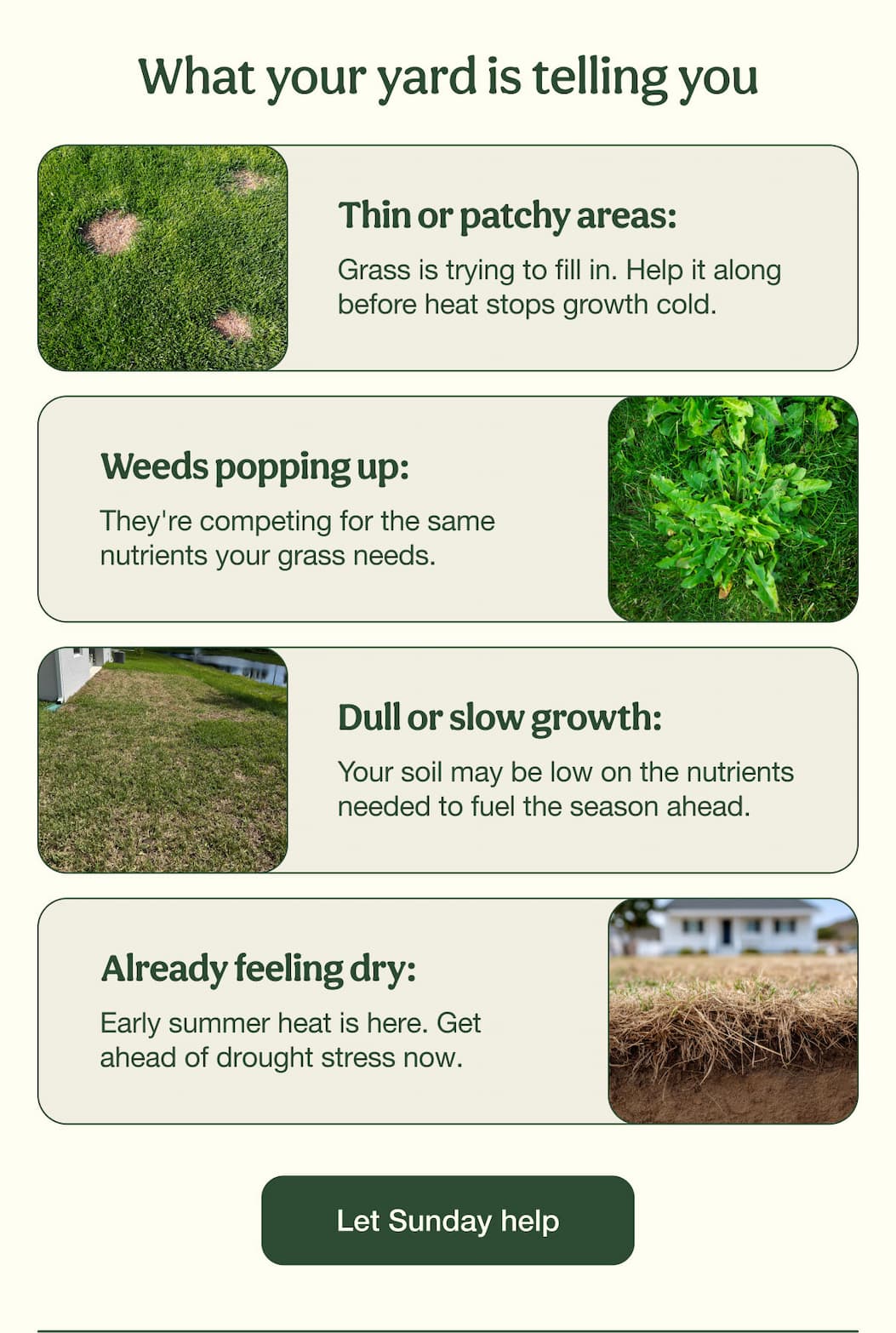 What your yard is telling you | Let Sunday help