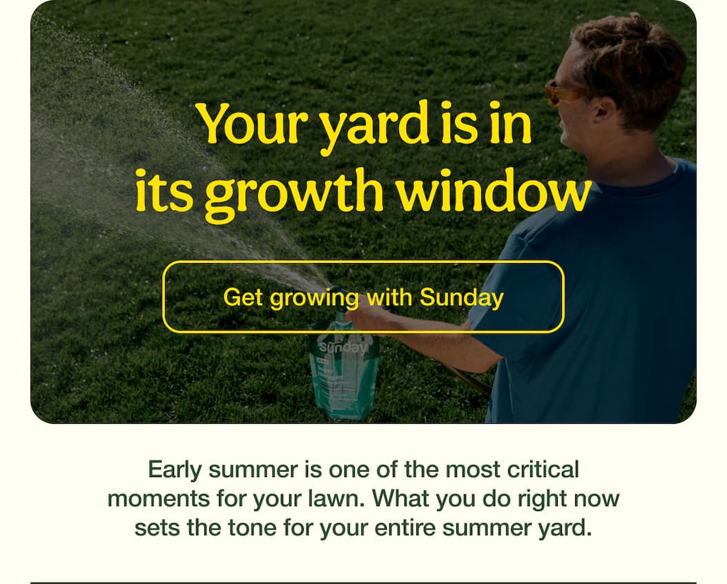 Your yard is in its growth window | Get growing with Sunday