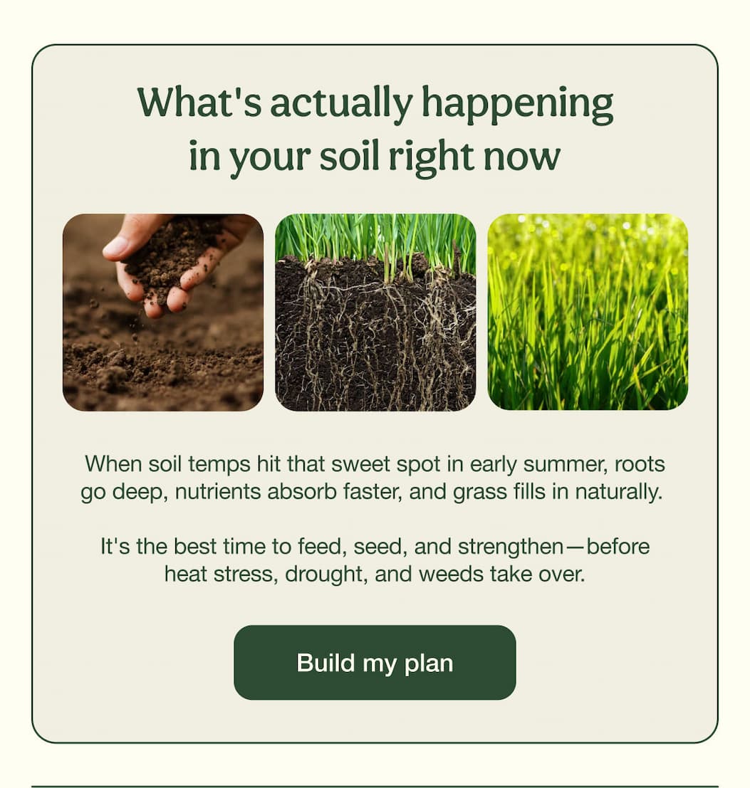 What's actually happening in your soil right now | Build my plan