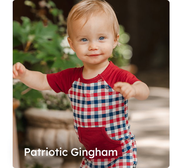 Patriotic Gingham