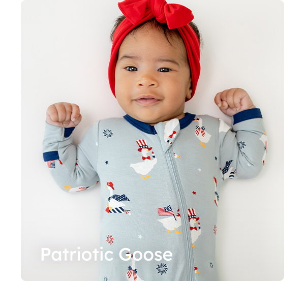 Patriotic Goose