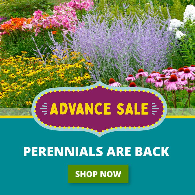 Save 25%