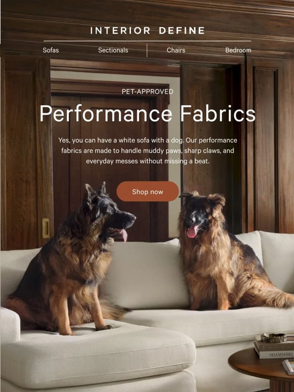 Yes, you can have a white sofa with a dog