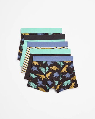 Maxx boys print trunks 5 pack