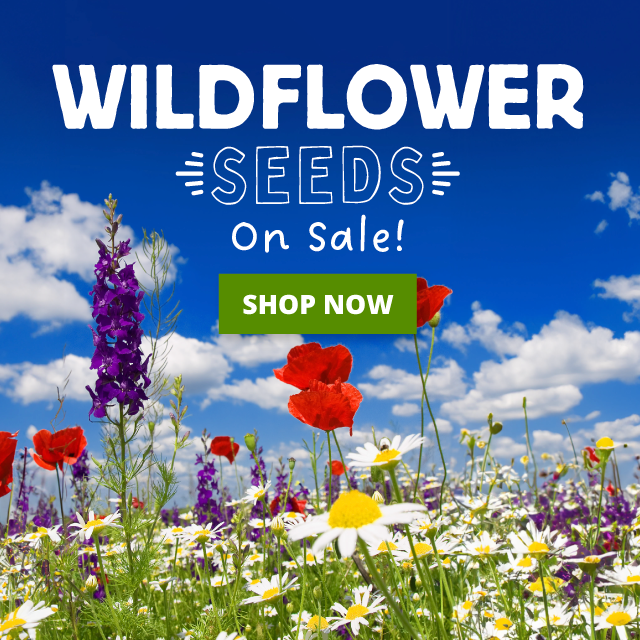 Save Up To 30%