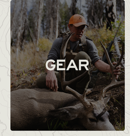 Gear