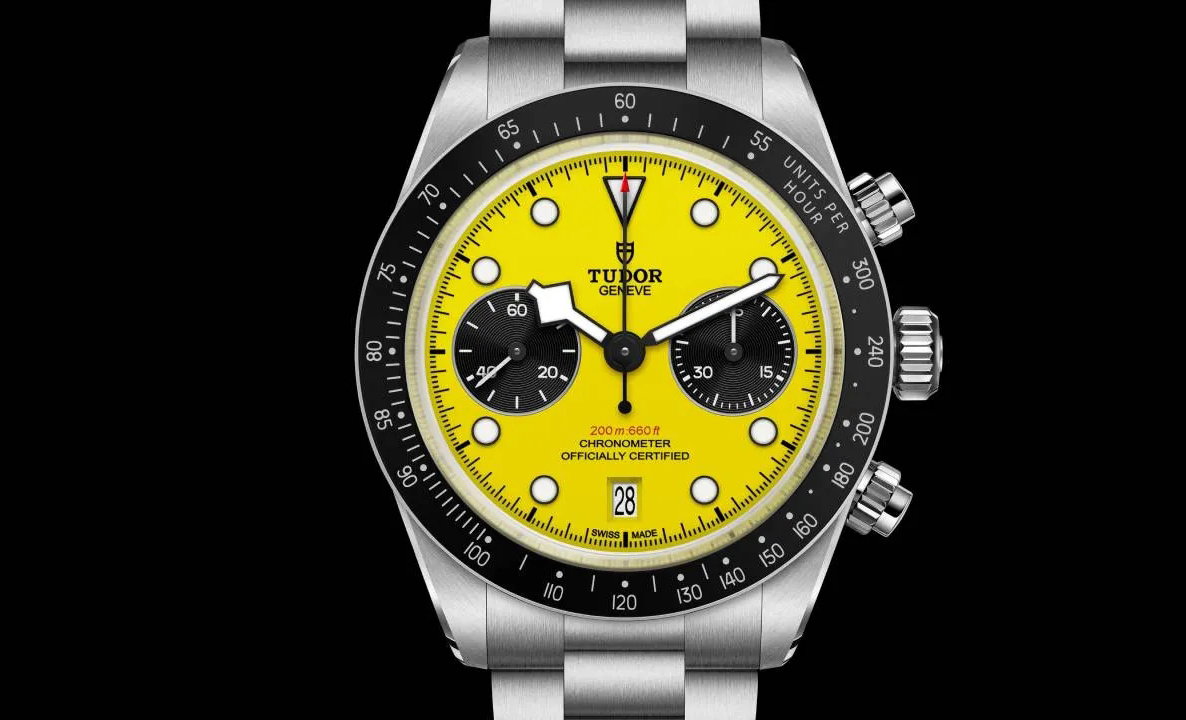 Tudor Black Bay