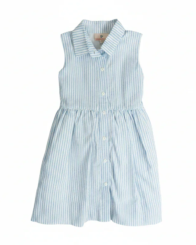 Image of Blue Stripe Heritage Dress