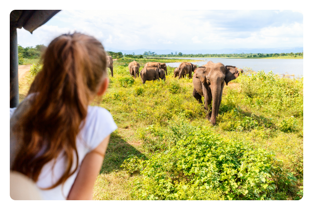 Cave temples, safaris and river cruises on a Premium family trip in Sri Lanka
