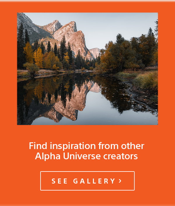 Find inspiration from other Alpha Universe creators | See Gallery
