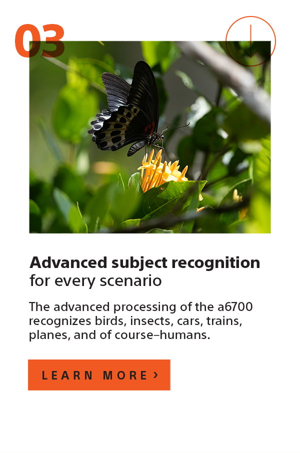 Advanced subject recognition for every scenario | The advanced processing of the a6700 recognizes birds, insects, cars, trains, planes, and of course–humans. | Learn more