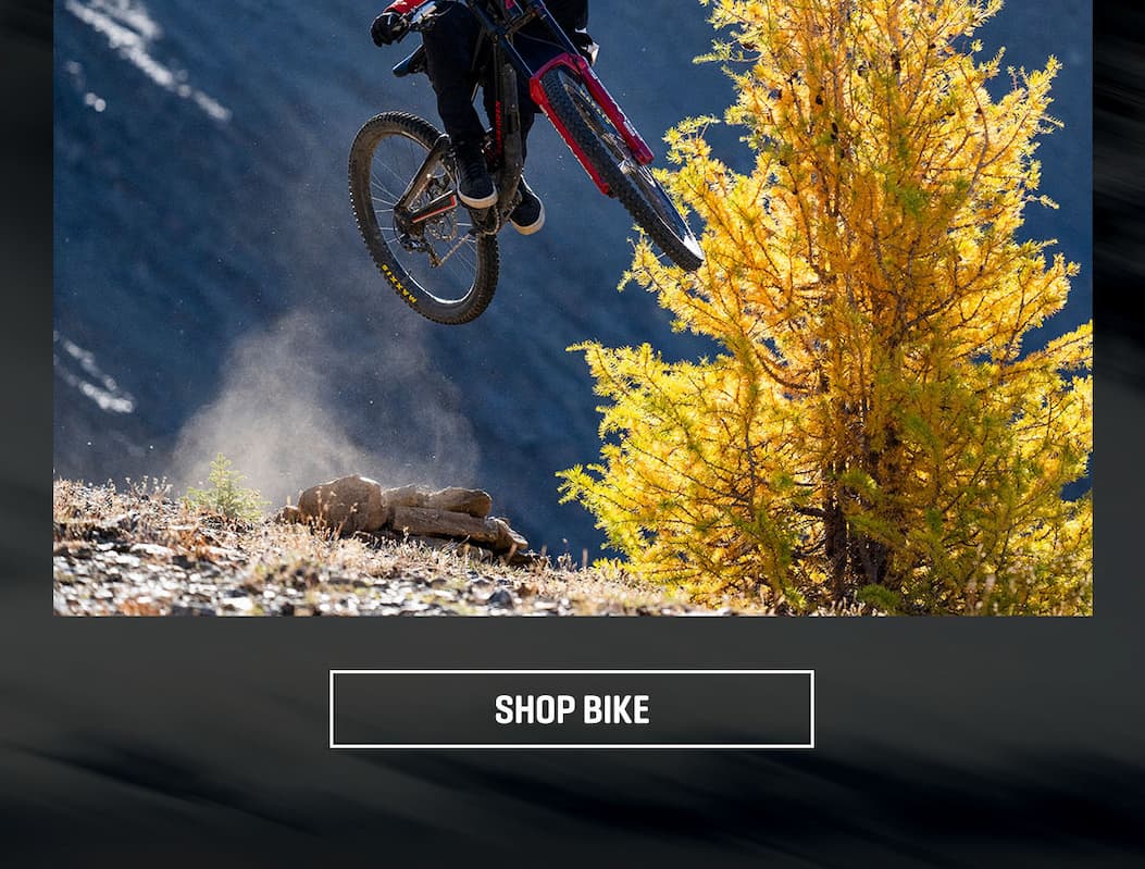 Dakine Mtn. Bike