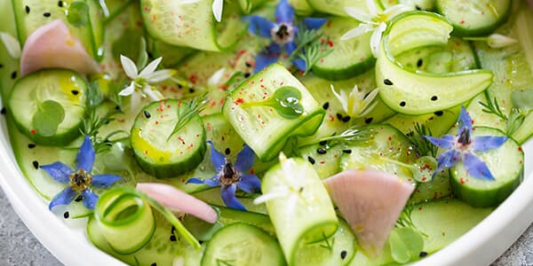 Magazin, Mehr als nur Salat: 8 Ideen, um Gurken zu verwerten, Oswald