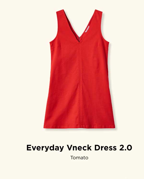 Everyday Vneck Dress 2.0