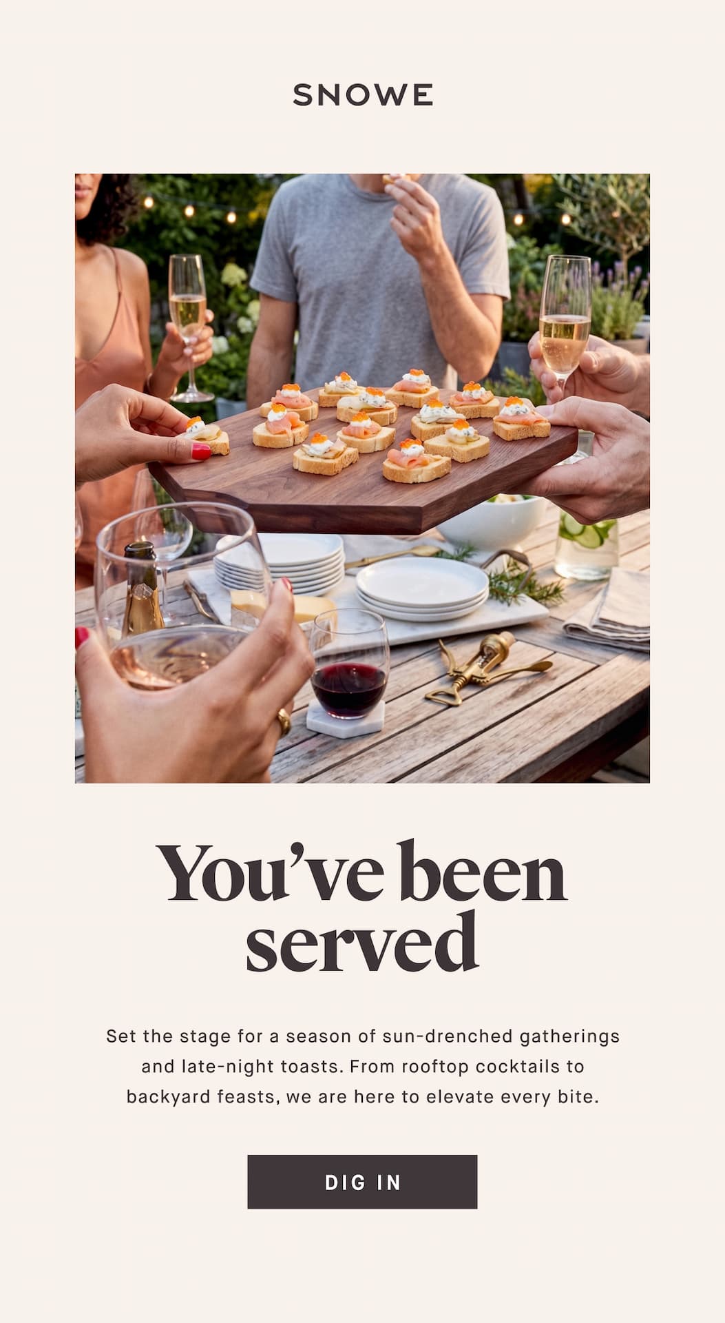 You’ve been served Set the stage for a season of sun-drenched gatherings and late-night toasts. From rooftop cocktails to backyard feasts, we are here to elevate every bite. DIG IN