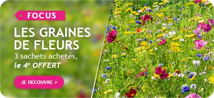 Les graines de fleurs : 3 sachets achetés, le 4ème offert!