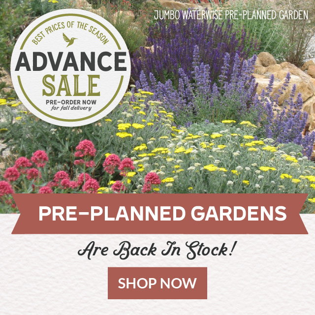 jumbo waterwise garden