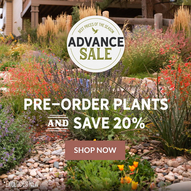 Advance Sale