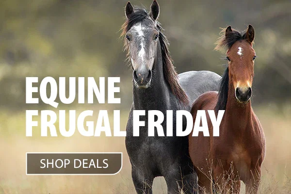 SHOP DEALS