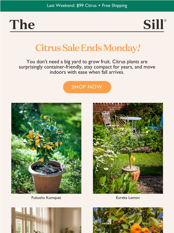 ICYMI- the Citrus Sale ends Monday!