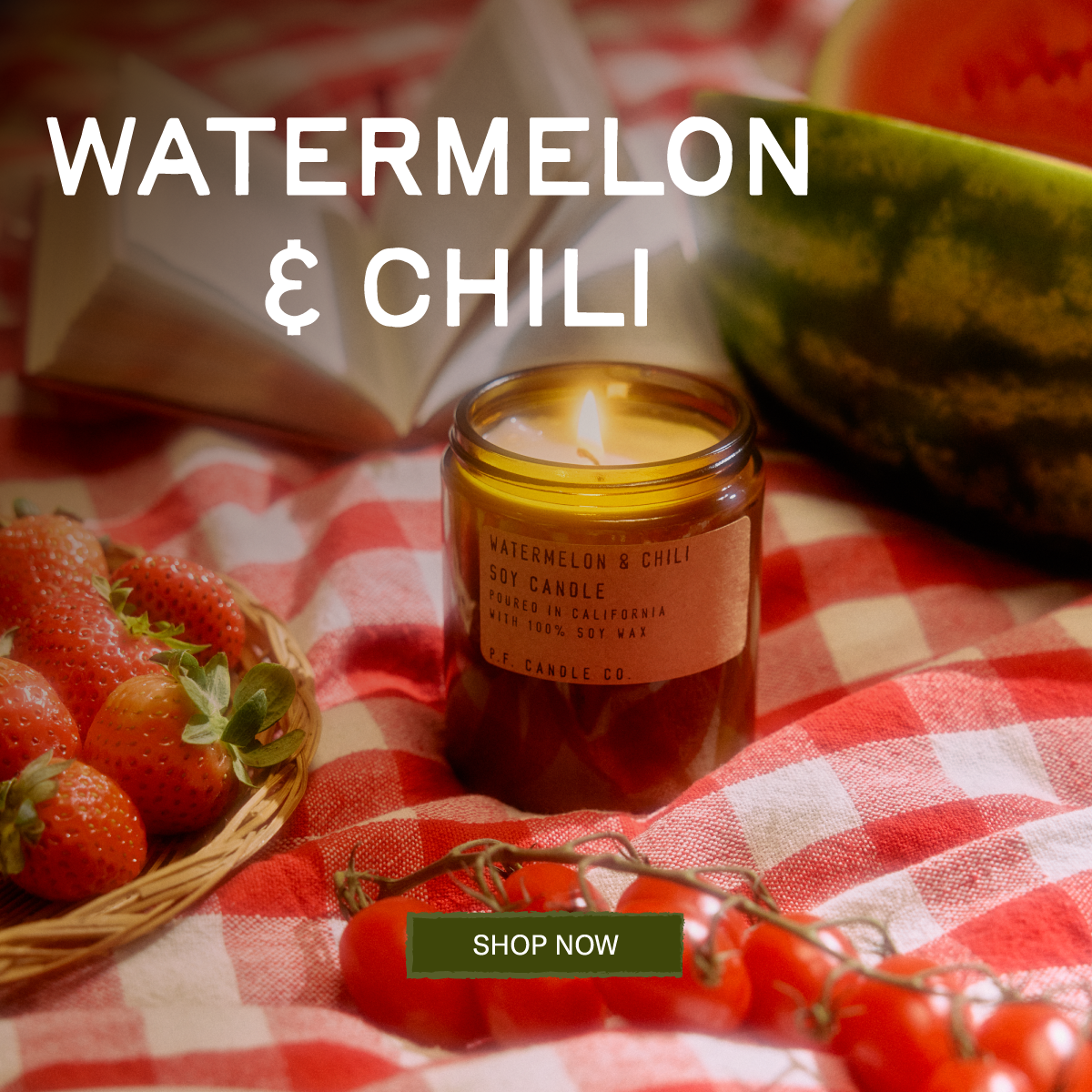 WATERMELON & CHILI [SHOP NOW] [lit candle on picnic blanket with watermelon, strawberries, tomatoes, and a book]