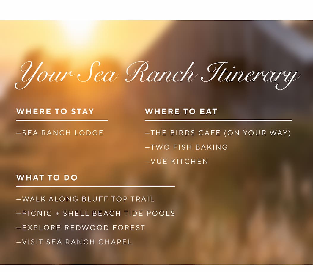 Your Sea Ranch Itinerary  Where to Stay: Sea Ranch Lodge Where to Eat: The Birds Cafe (on your way) Two Fish Baking Vue Kitchen What to Do: Walk along Bluff Top Trail Picnic + Shell Beach tide pools Explore Redwood forests Visit Sea Ranch Chapel
