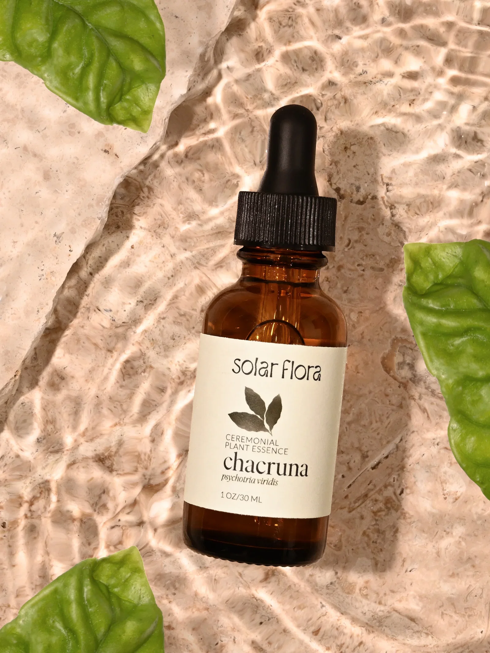 Image of Ceremonial Plant Essence: Chacruna