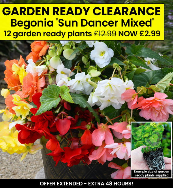 Garden Ready Mix & Match
