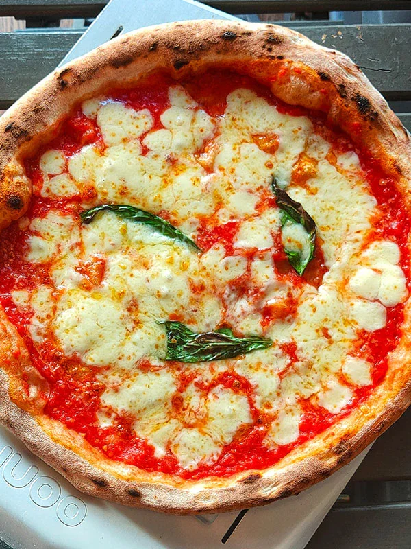 Beer Pizza Dough