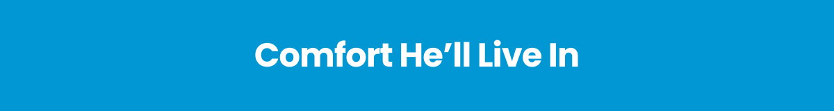 Comfort He'll Live In >
